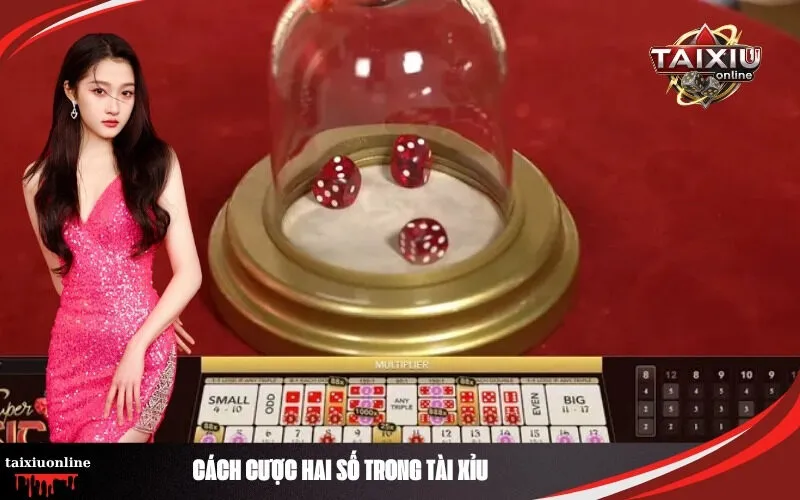 Cách Cược Hai Số Trong Tài Xỉu